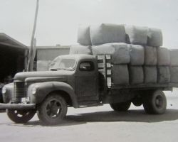 Wongan Hills 1920’s